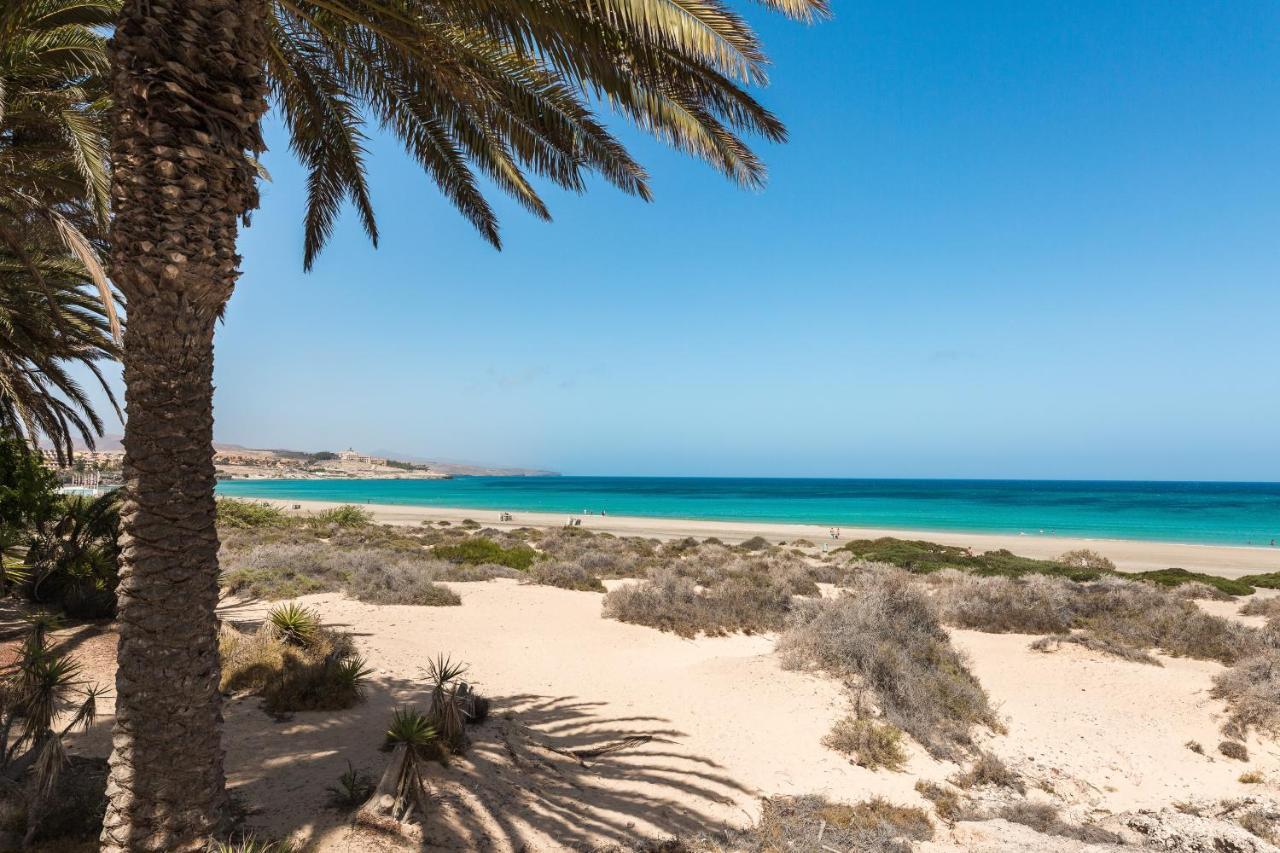 Home2Book Oasis Paradise Home Fuerteventura Corralejo Eksteriør bilde